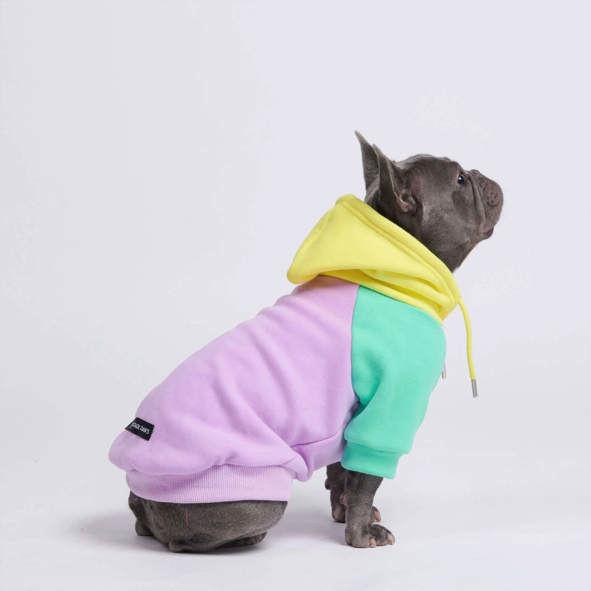 Color Block Dog Hoodies