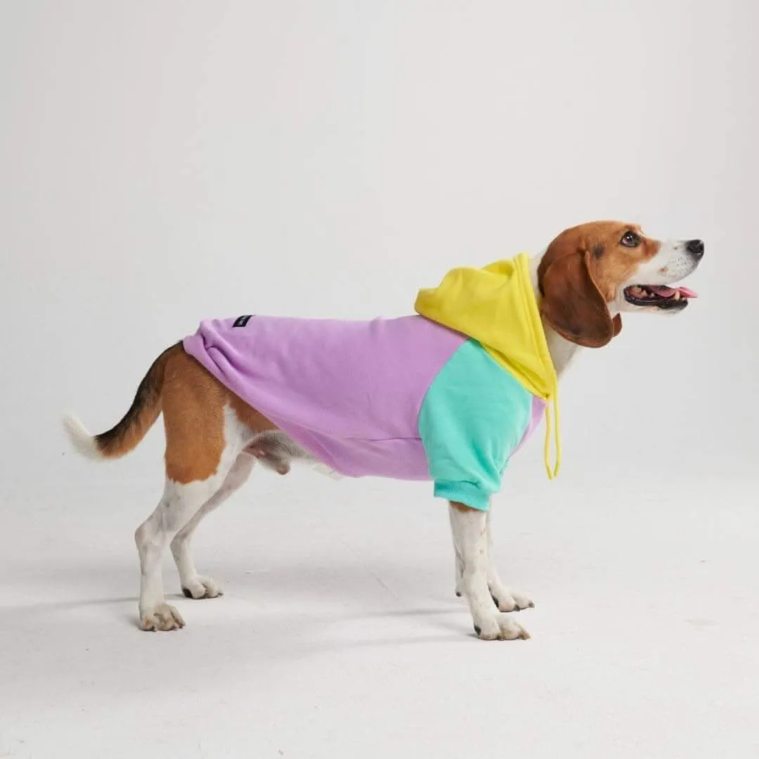 Color Block Dog Hoodies