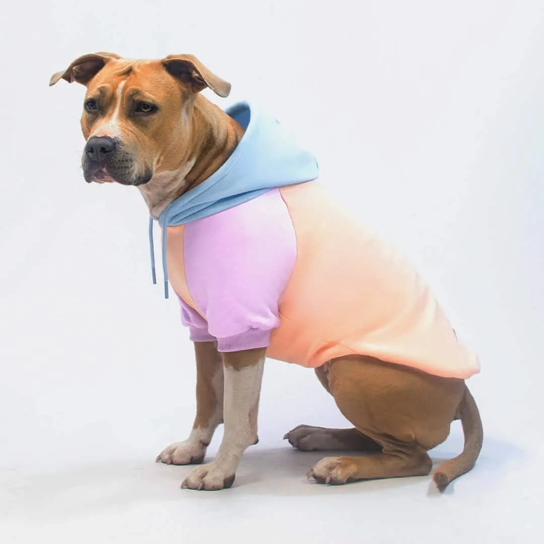 Color Block Dog Hoodies