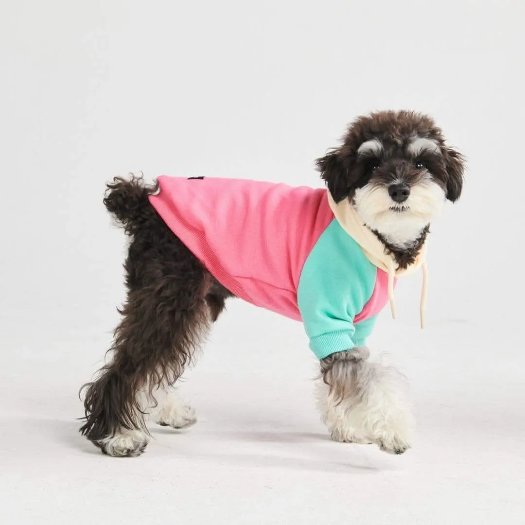 Color Block Dog Hoodies