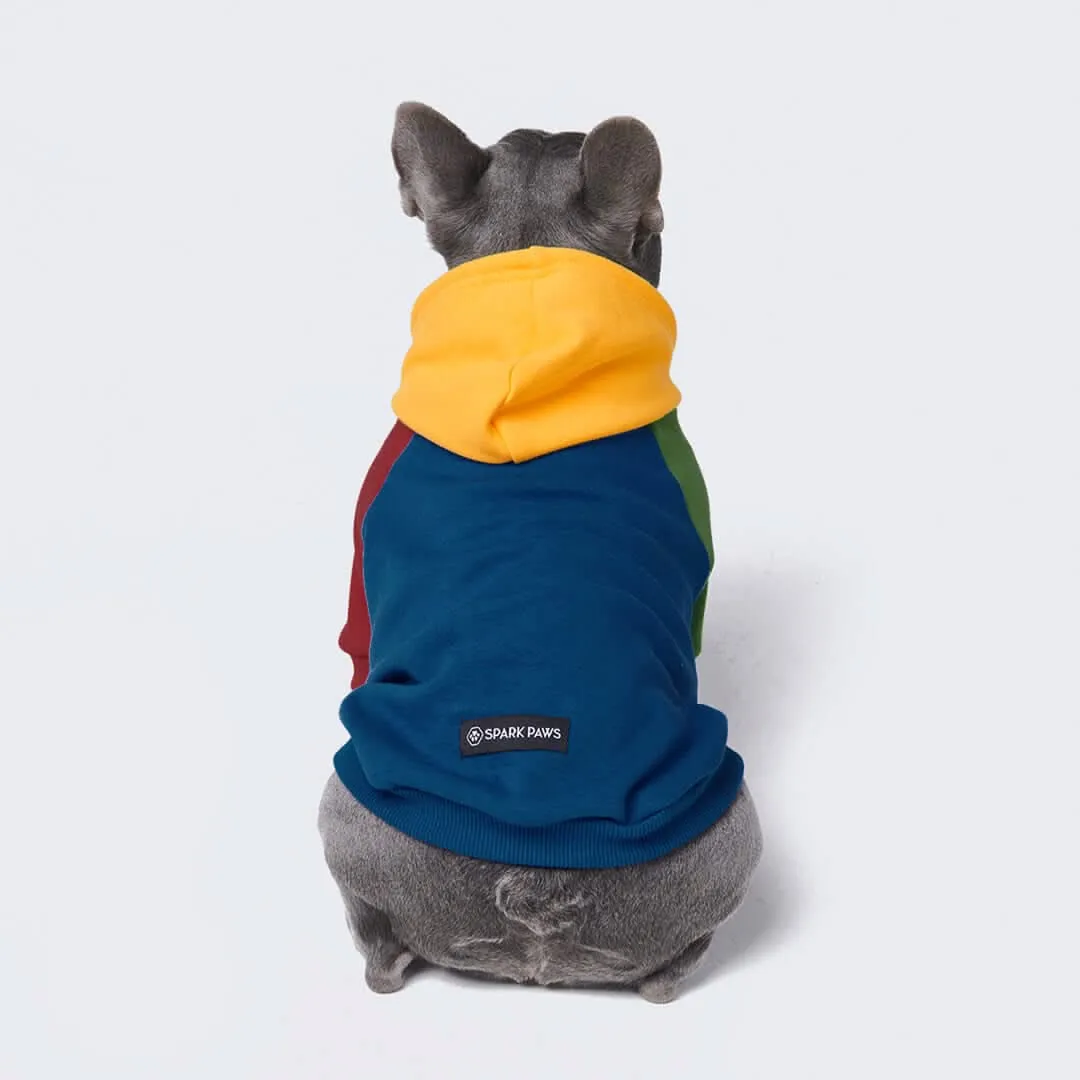 Color Block Dog Hoodies