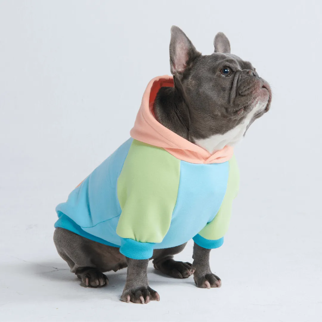 Color Block Dog Hoodies