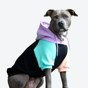 Color Block Dog Hoodies