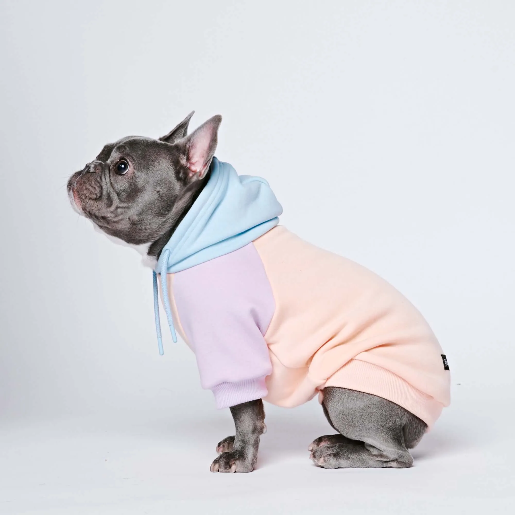 Color Block Dog Hoodies